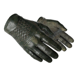★ Driver Gloves | Racing Green (Field-Tested)