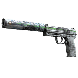 Souvenir USP-S | Road Rash (FN)