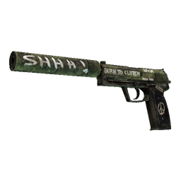 USP-S | Flashback (FN)